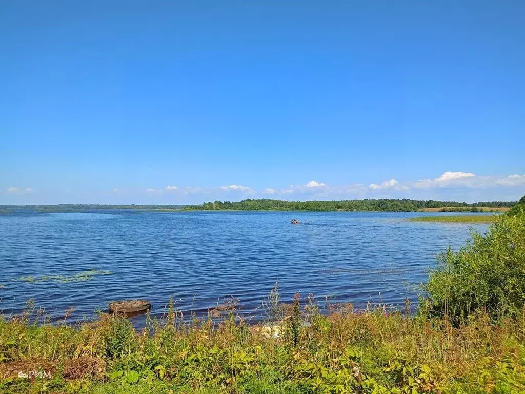 Участок в Вологодская область, Белозерский муниципальный округ, д. ... - Фото 0