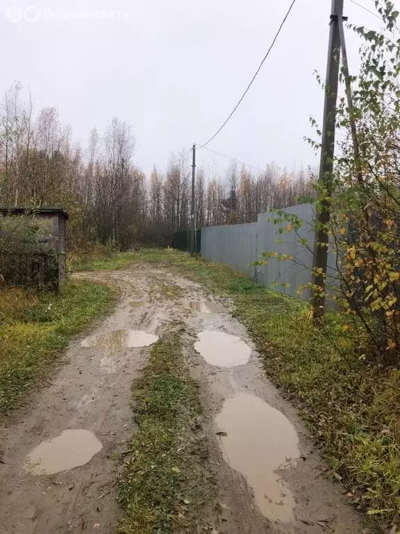 Участок в Богородский городской округ, СНТ Ясень (8 м) - Фото 1
