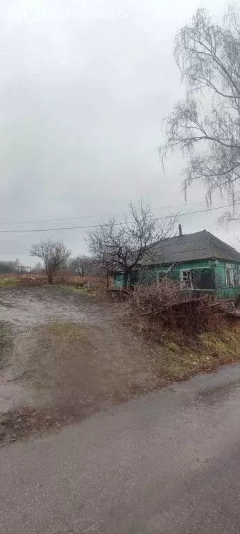 Участок в Пашковский сельсовет, деревня Денисово, 4 (30 м) - Фото 0