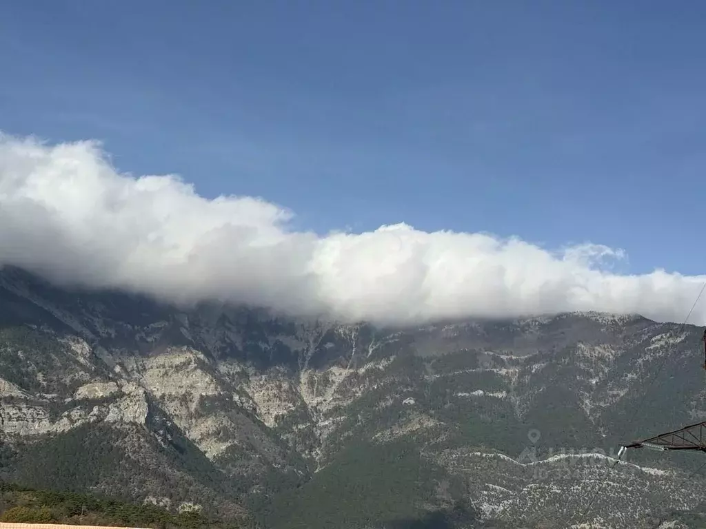 Студия Крым, Ялта муниципальный округ, Виноградное пгт Космос Стей ... - Фото 2