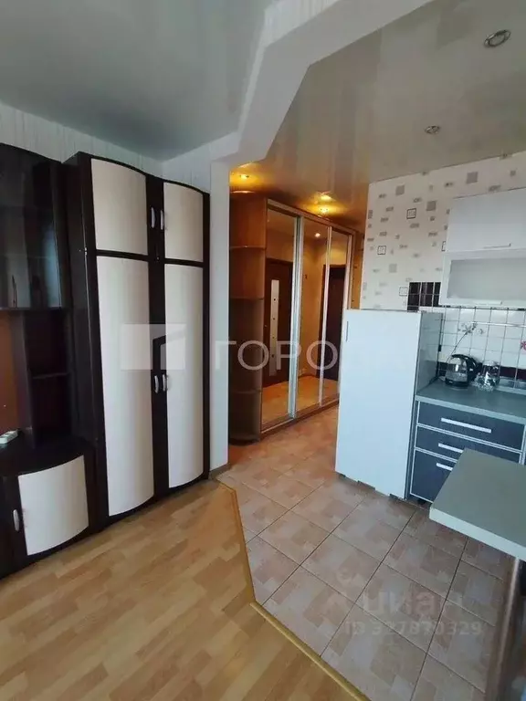 Студия Новосибирская область, Новосибирск Рябиновая ул., 10/1 (25.4 м) - Фото 2