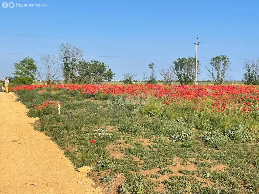 Участок в село Витино, Крымская улица (6 м) - Фото 0