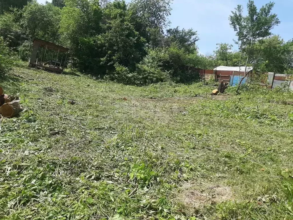 Участок в Нижегородская область, Нижний Новгород 40 лет Октября СНТ, ... - Фото 2