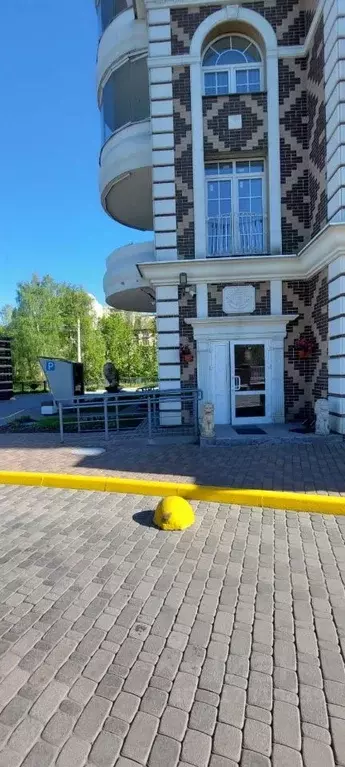 Студия Санкт-Петербург просп. Стачек, 216к2 (24.0 м) - Фото 1