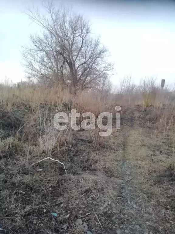 Участок в Алтайский край, Алтайский район, с. Алтайское ул. Ершова ... - Фото 0