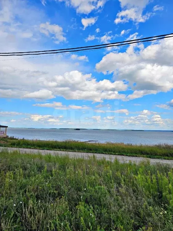 Участок в Новосибирская область, Ордынский район, Порт Пичуги кп ул. ... - Фото 0