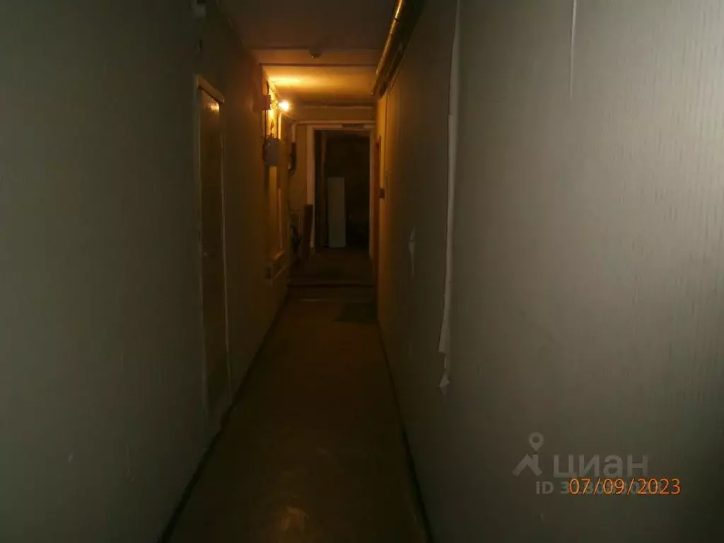 Помещение свободного назначения в Новосибирская область, Новосибирск ... - Фото 1