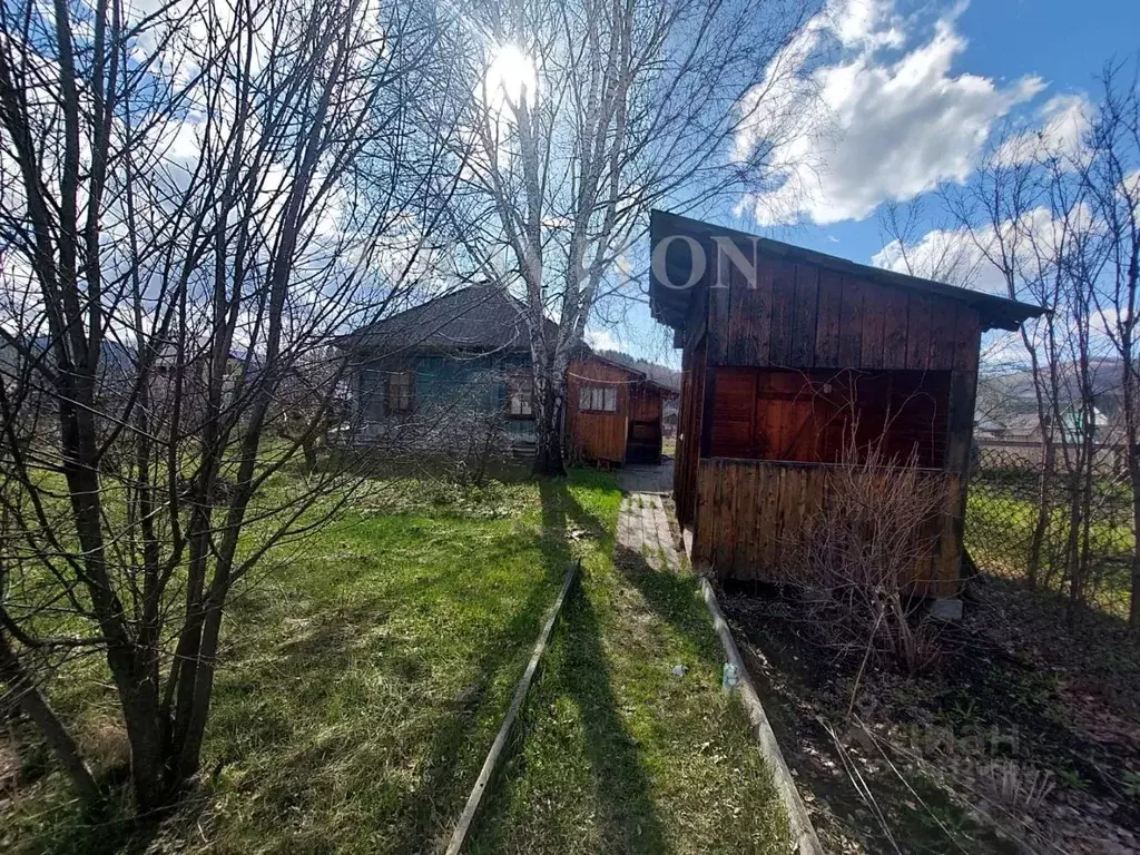 Дом в Алтай, Майминский район, с. Кызыл-Озек Советская ул. (36 м) - Фото 0