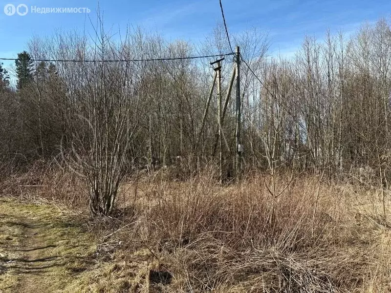 Участок в деревня Доможирово, Школьная улица (18 м) - Фото 2