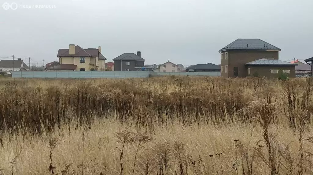 Участок в Курский район, Лебяженский сельсовет, деревня Толмачёво, ... - Фото 2