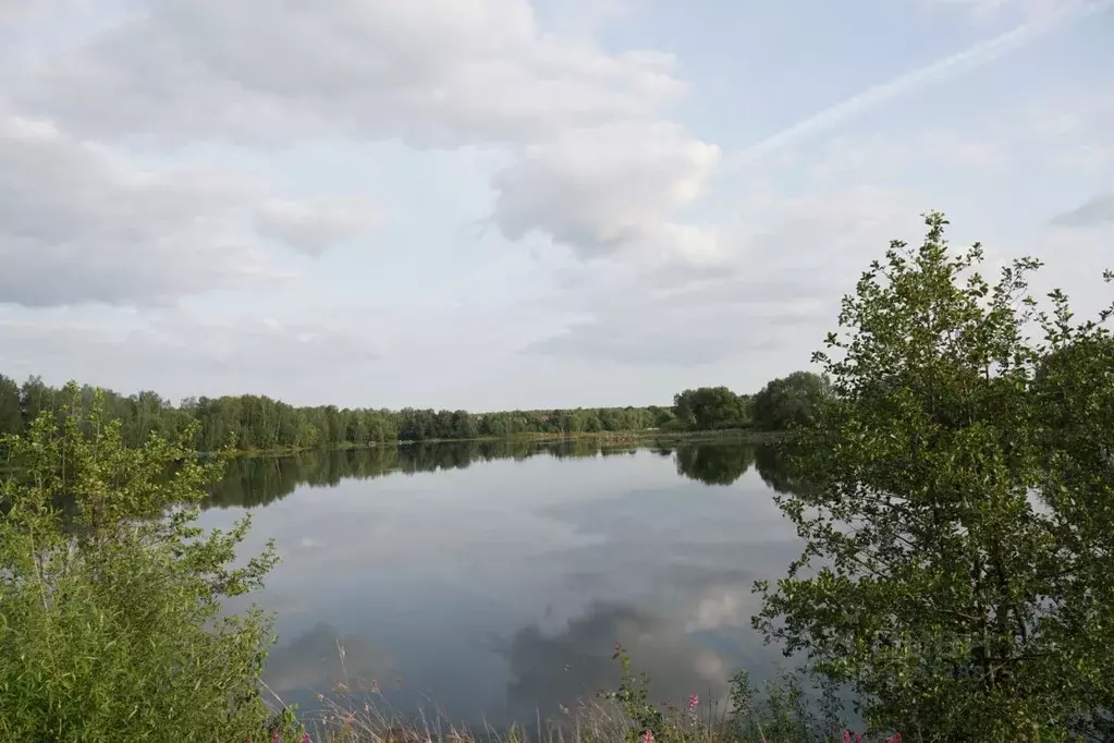 Участок в Московская область, Коломна городской округ, с. Бояркино  ... - Фото 1