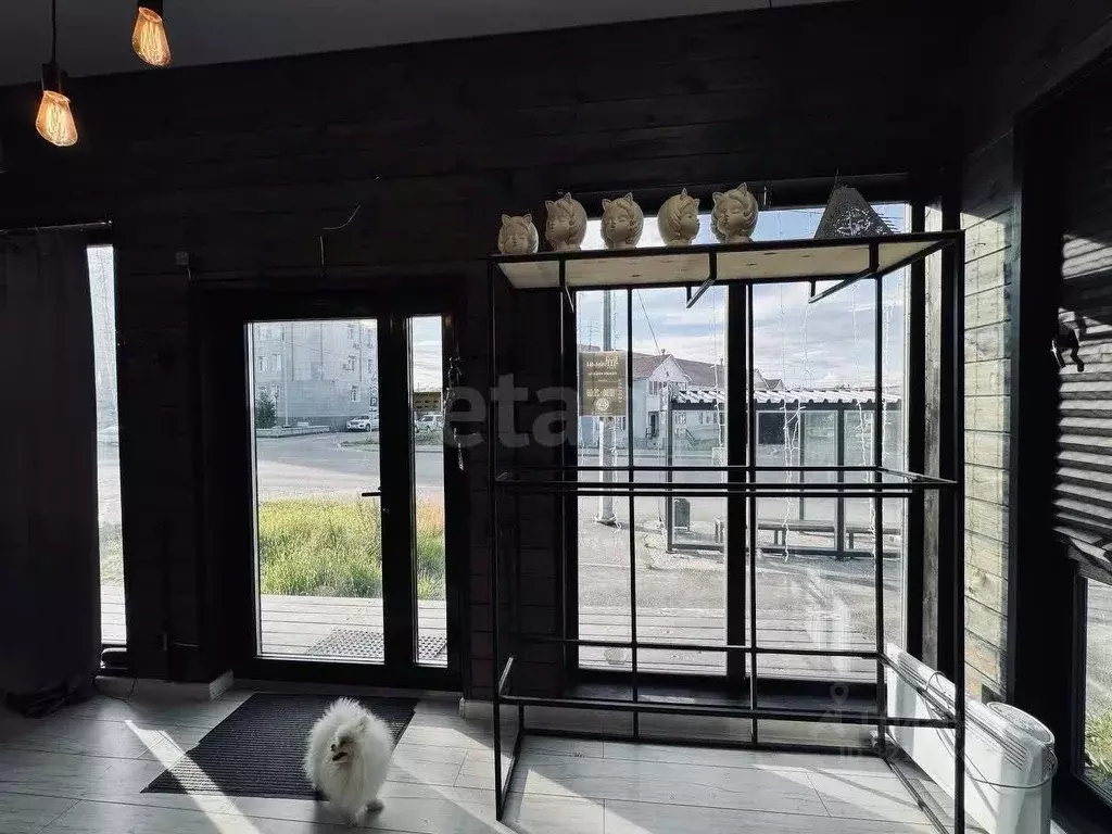 Торговая площадь в Ямало-Ненецкий АО, Салехард Ямальская ул., 18 (21 ... - Фото 2