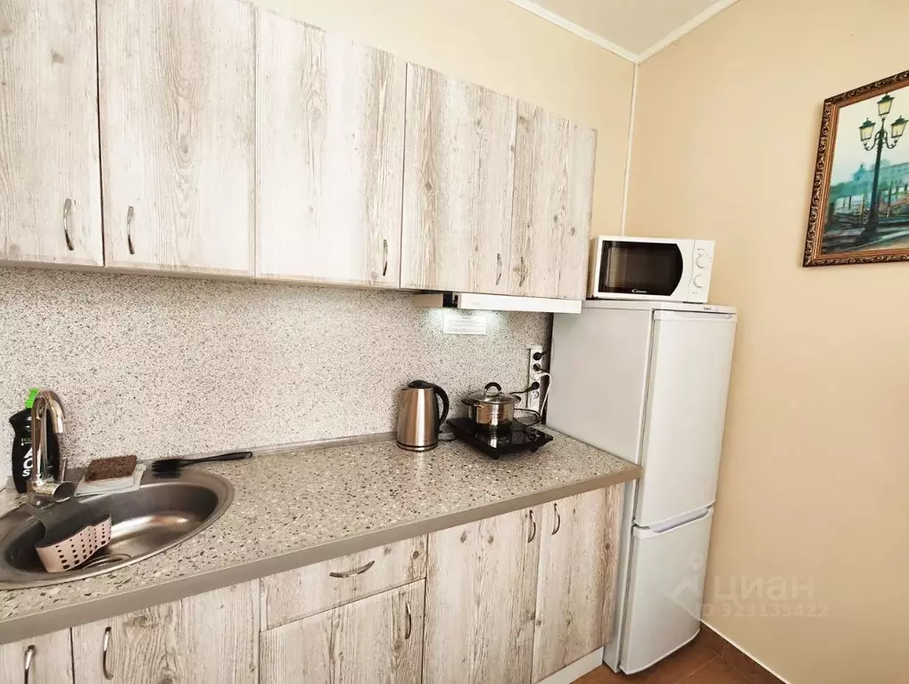 1-к кв. Краснодарский край, Сочи Адлер жилрайон, ул. Чкалова, 1/2В ... - Фото 1