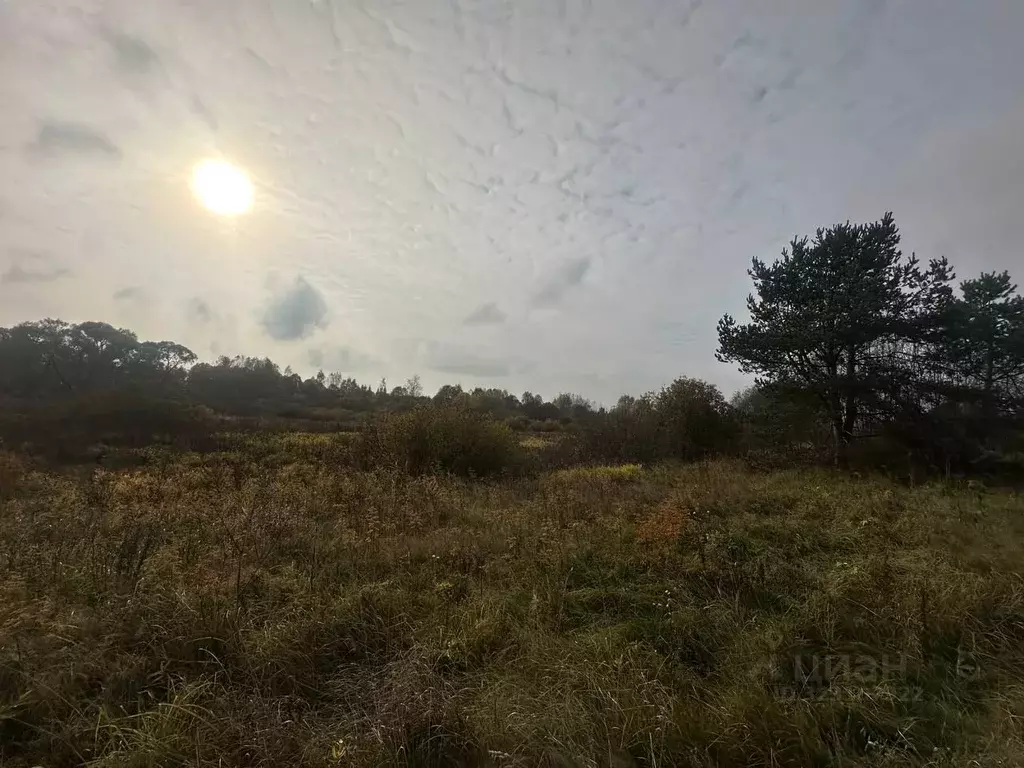 Участок в Тверская область, Калининский муниципальный округ, д. ... - Фото 1