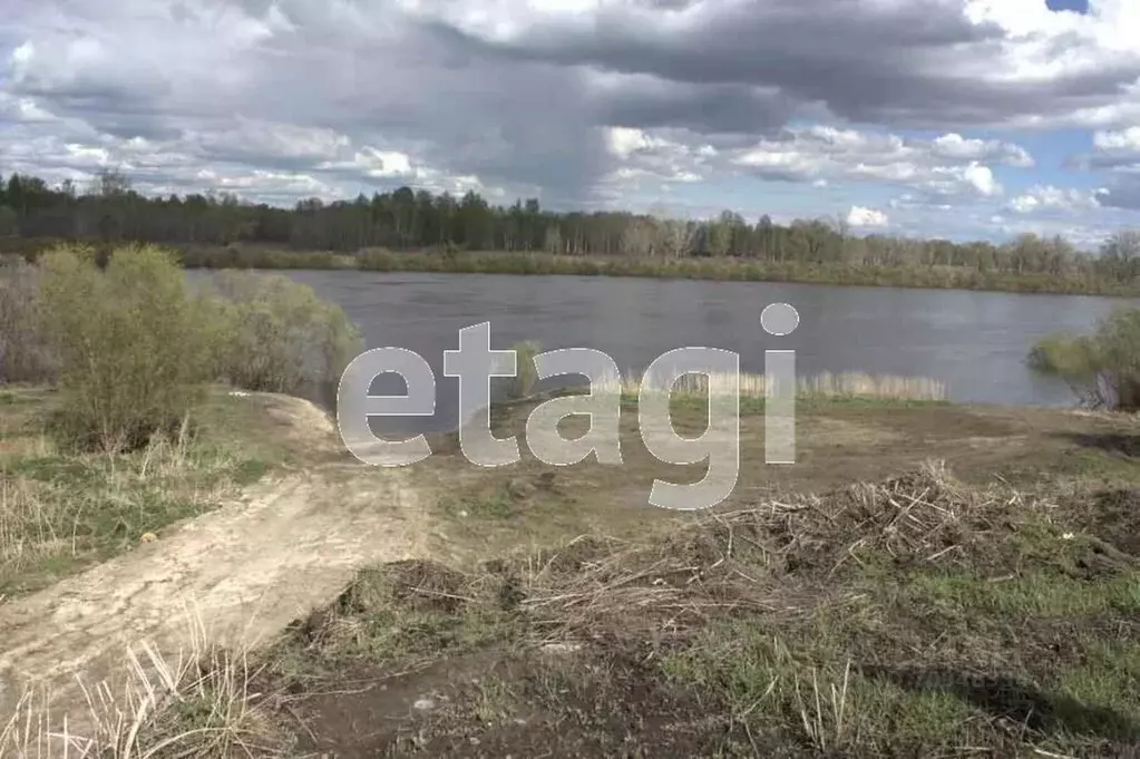 Участок в Свердловская область, Слободо-Туринский район, ... - Фото 1