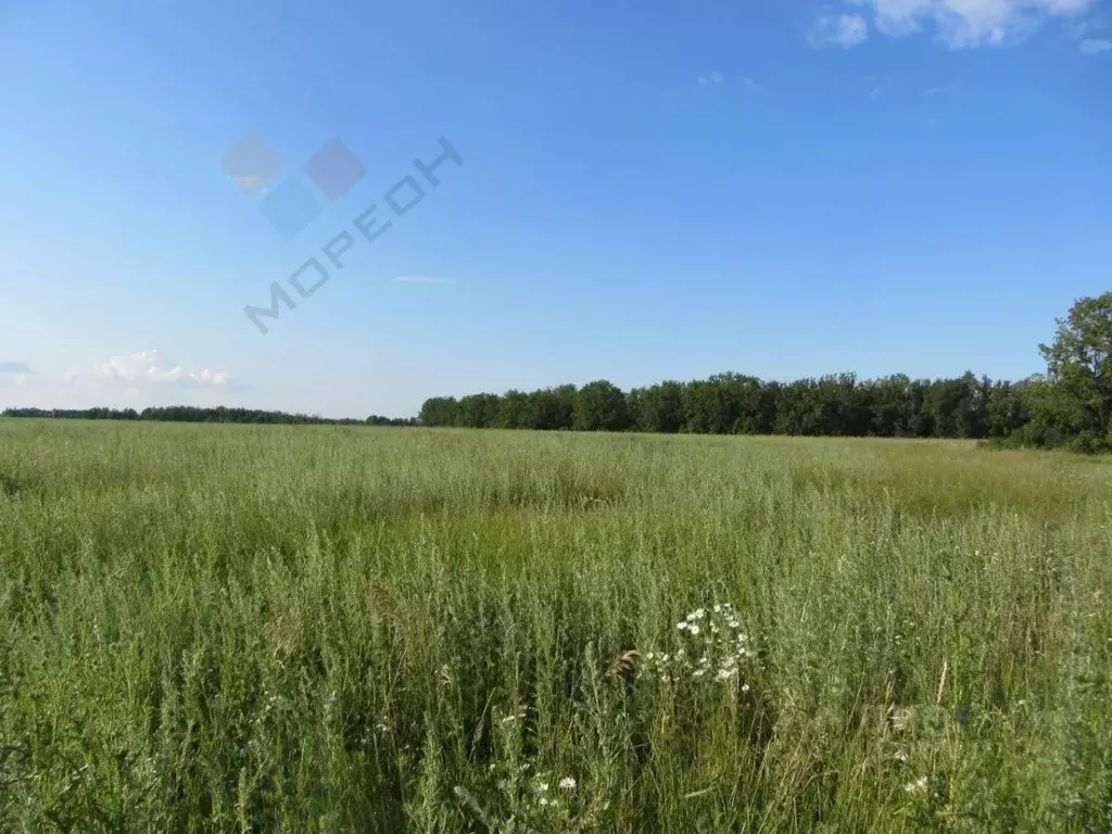 Участок в Краснодарский край, Краснодар пос. Дорожный, ул. Южная, 16 ... - Фото 0