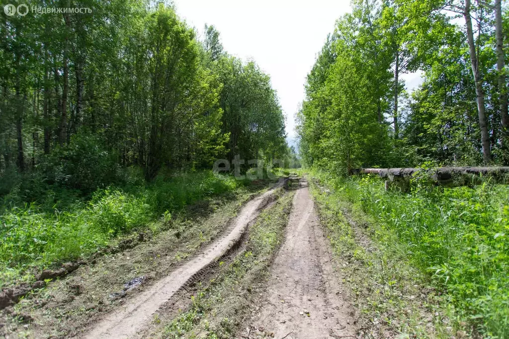 Участок в Тобольск, микрорайон Усадьба (10 м) - Фото 0