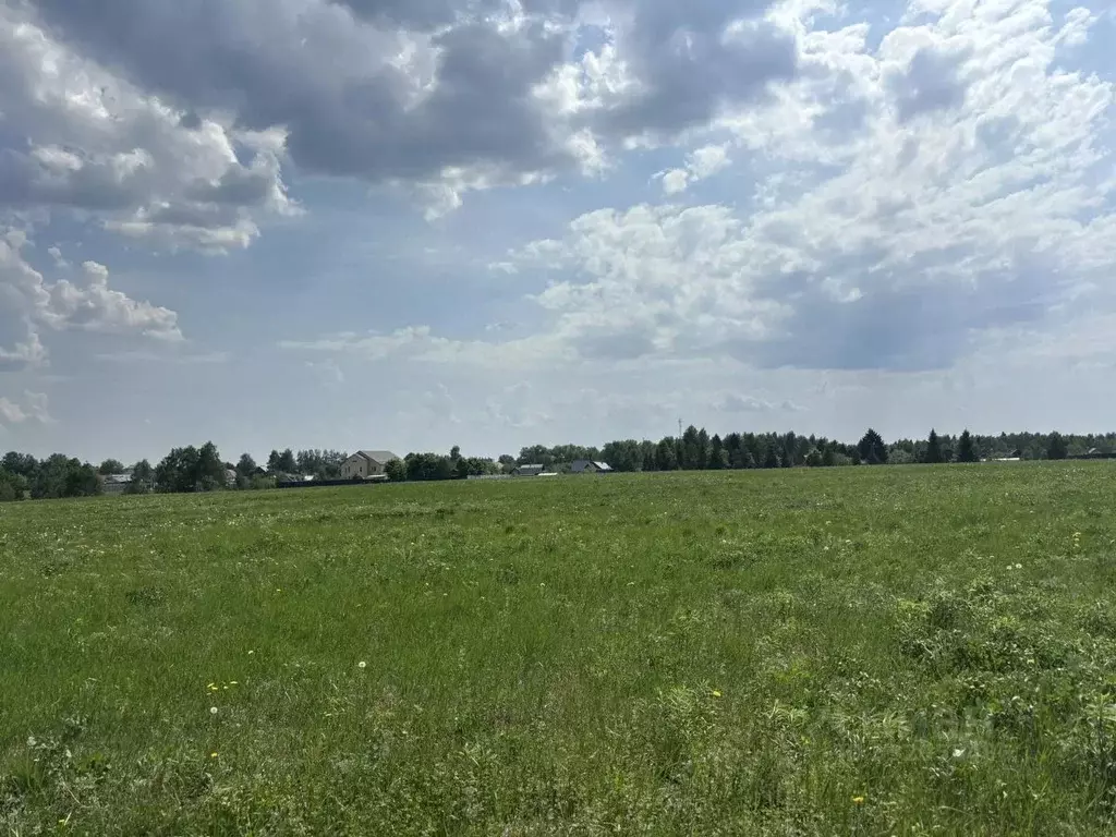 Участок в Московская область, Щелково городской округ, д. Аксиньино ... - Фото 2