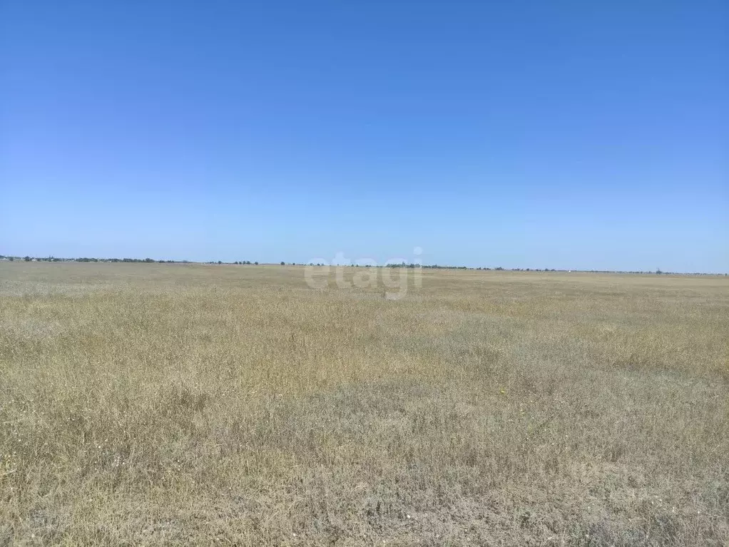 Участок в Крым, Сакский район, Суворовское с/пос, Оазис СНТ  (6.2 ... - Фото 1