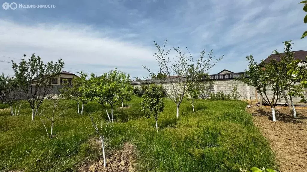 Участок в посёлок городского типа Ленинкент, улица Шешенёва (6 м) - Фото 1