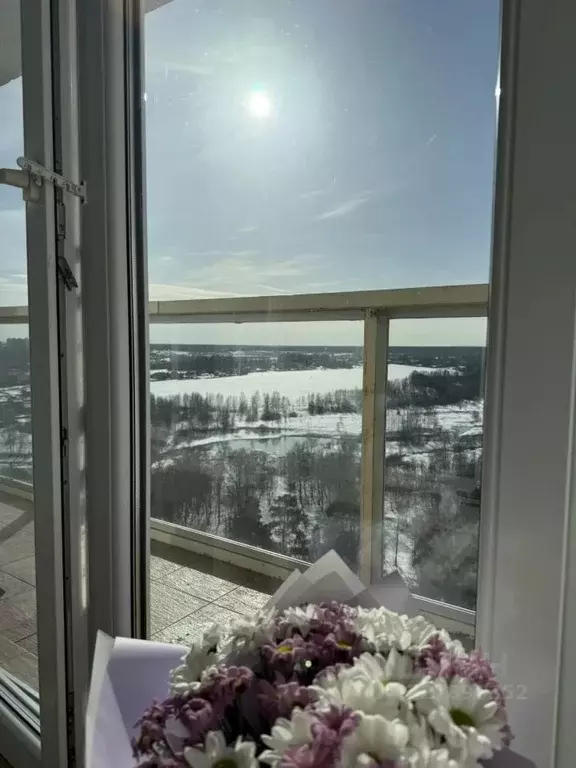 2-к кв. Московская область, Красноармейск Пушкинский городской округ, ... - Фото 1