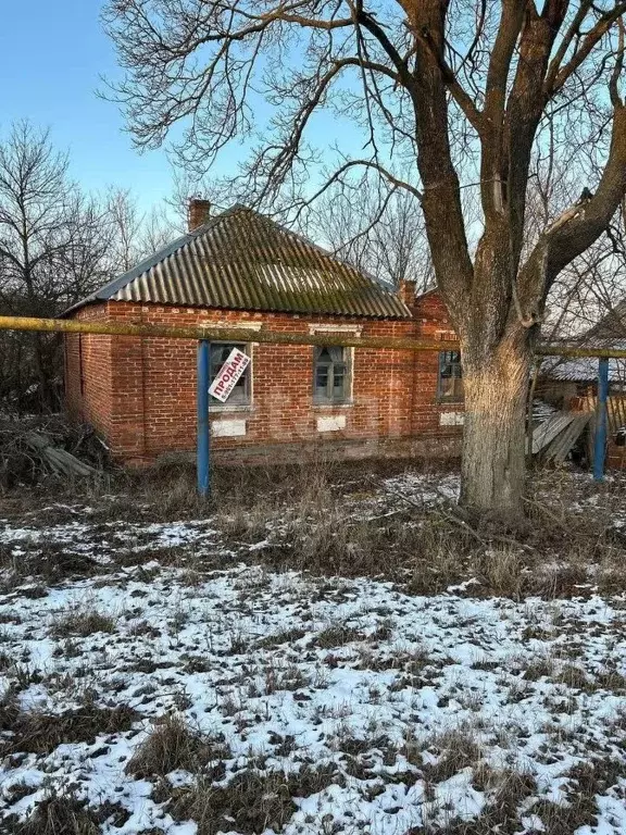 Дом в Белгородская область, Яковлевский муниципальный округ, с. Вислое ... - Фото 1