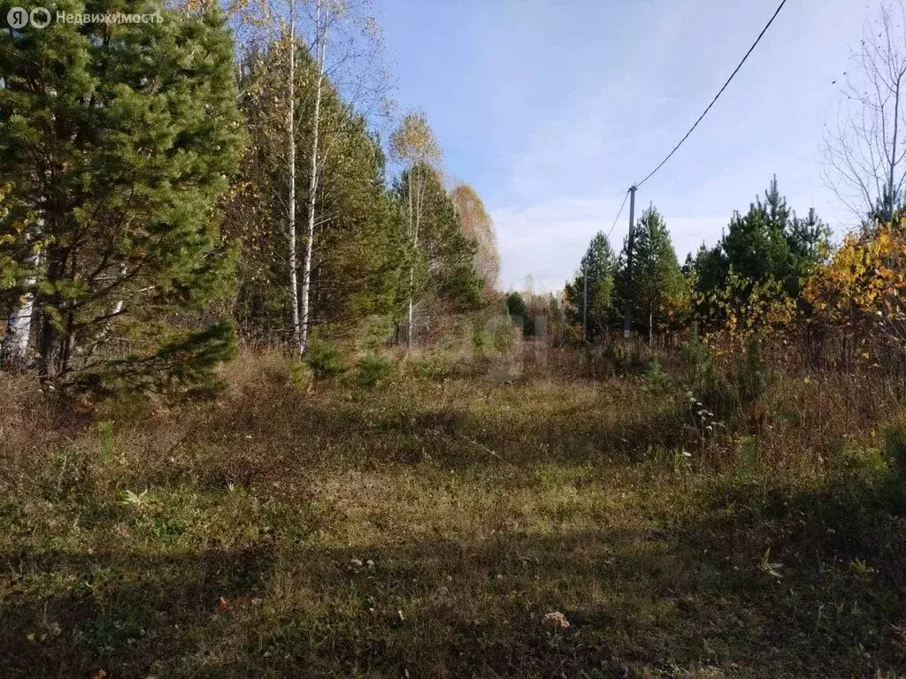 Участок в деревня Красный Яр, микрорайон Восточный (10 м) - Фото 1