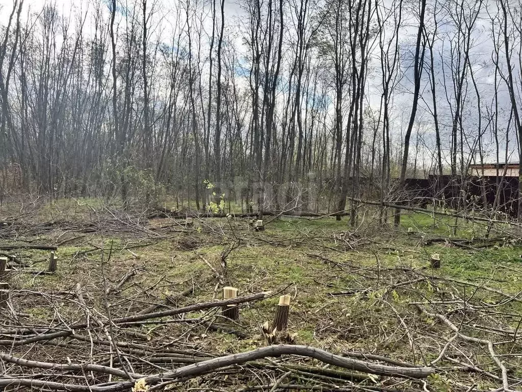Участок в Ростовская область, Аксайский район, Большелогское с/пос, ... - Фото 1