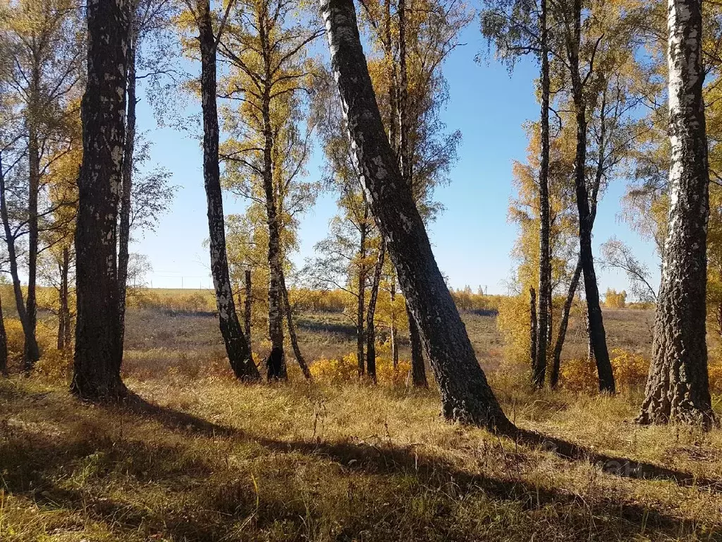 Участок в Тульская область, Заокский район, Земляничное СНТ  (12.0 ... - Фото 0