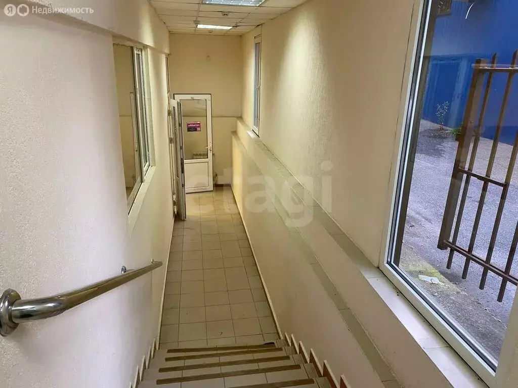 Помещение свободного назначения (315 м) - Фото 2