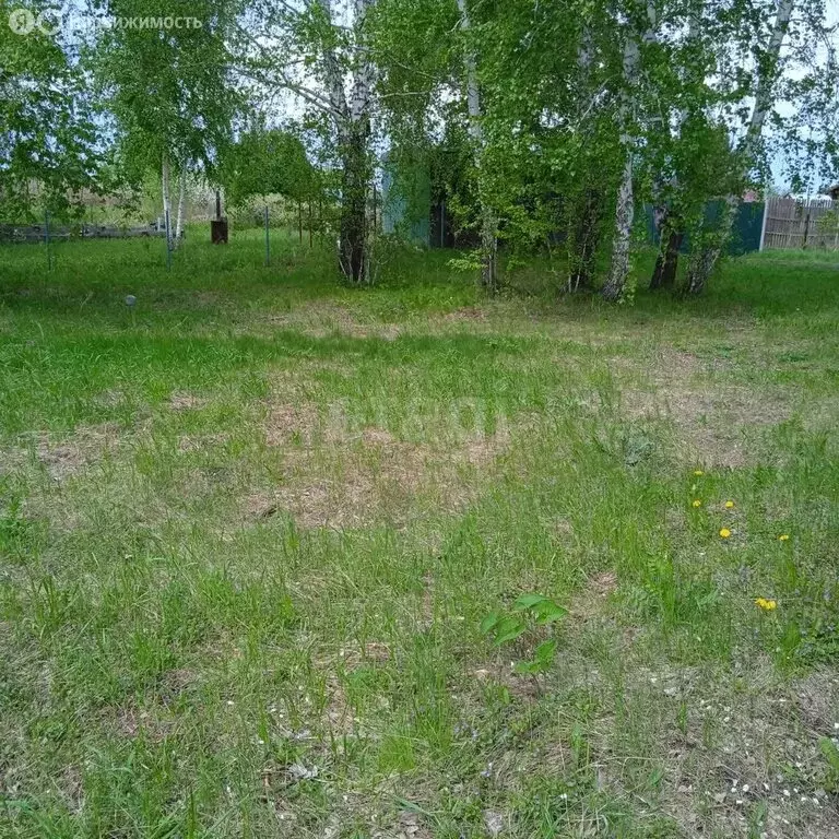 Участок в Бердск, СНТ Росинка, 15-я улица (10 м) - Фото 1
