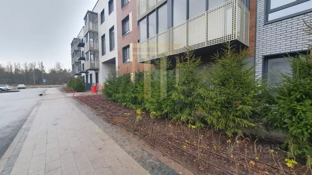 Студия Санкт-Петербург, Санкт-Петербург, Сестрорецк Авиационная ул., ... - Фото 1