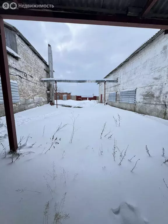 Производственное помещение (1000 м) - Фото 2