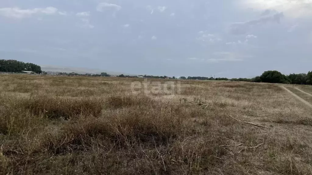 Участок в Карачаево-Черкесия, Прикубанский район, с. Знаменка ул. ... - Фото 0