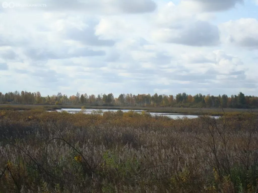 Участок в Тюмень, Центральная улица (11.82 м) - Фото 1