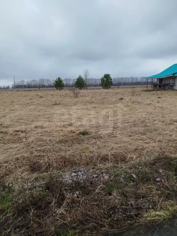 Участок в Воронежская область, Грибановский пгт  (12.0 сот.) - Фото 1