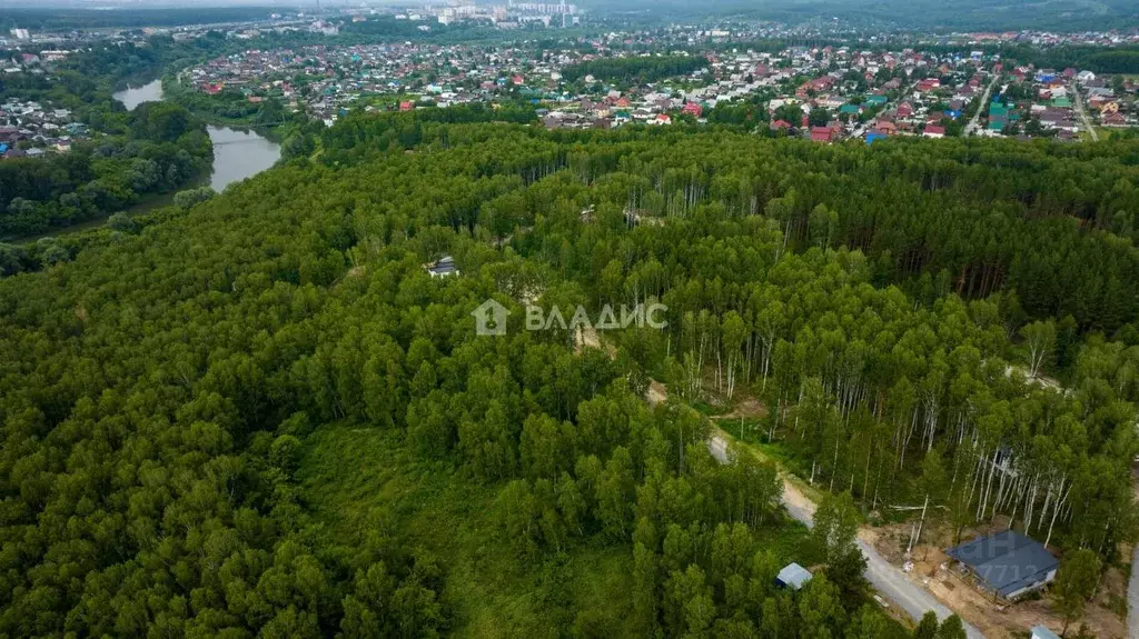 Участок в Новосибирская область, с. Новолуговое ул. Восточная (8.0 ... - Фото 1