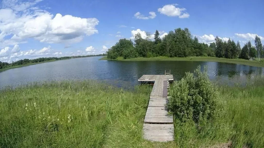 Шаховское Московская Область Купить Участок