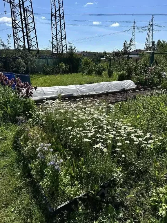 Участок в Московская область, Мытищи городской округ, д. Болтино ул. ... - Фото 2