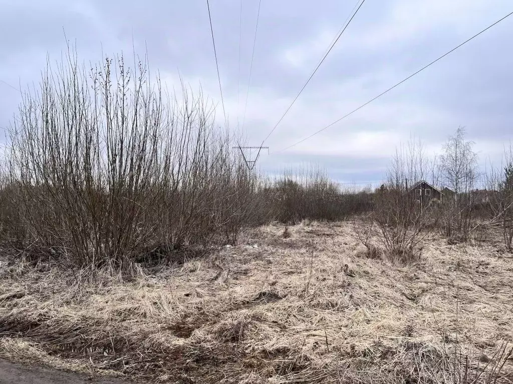 Участок в Владимирская область, Суздальский район, Новоалександровское ... - Фото 2