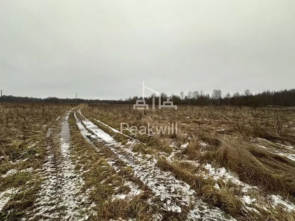 Участок в Московская область, Сергиево-Посадский городской округ, д. ... - Фото 2