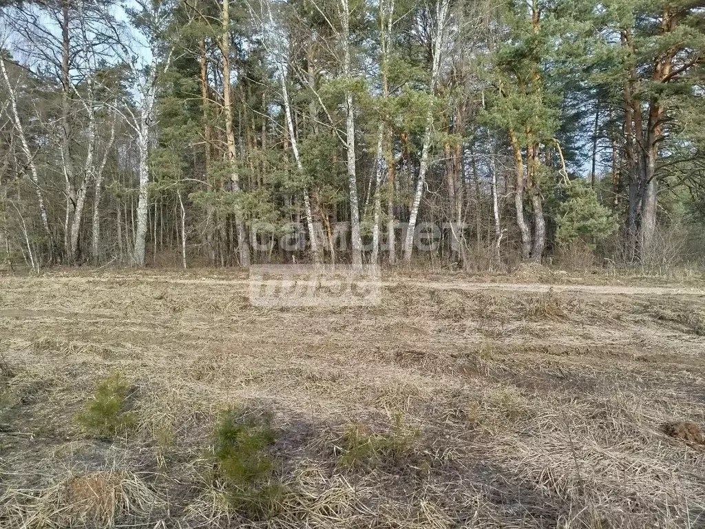 Участок в Московская область, Серпухов городской округ, д. ... - Фото 0