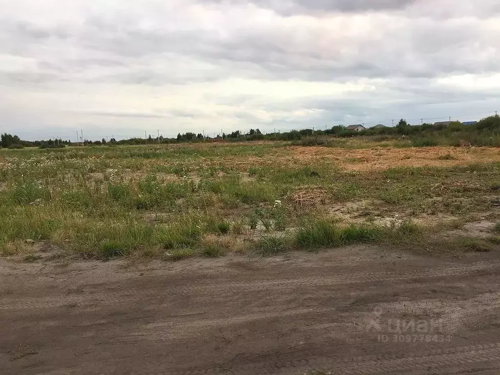 Участок в Тюменская область, Тюмень Дубок садовое товарищество,  (10.0 ... - Фото 1