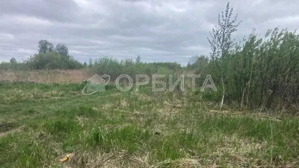 Участок в Тюменская область, Тюмень Большое Царево-3 ОНТ,  (10.0 сот.) - Фото 1