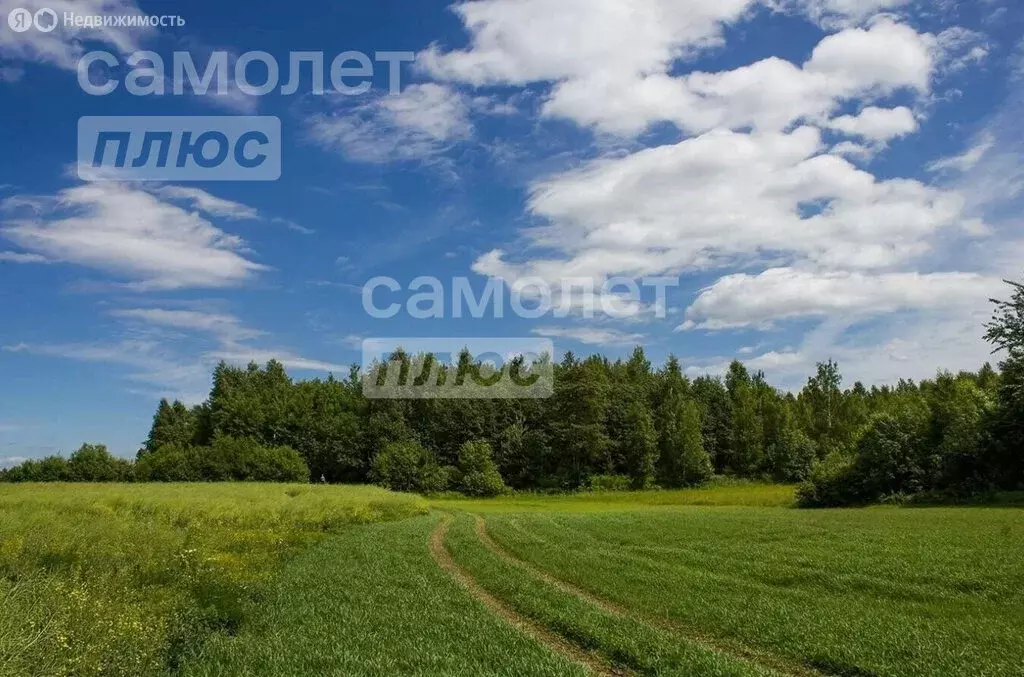 Участок в село Выльгорт, улица Ольги Мальцевой (9 м) - Фото 0