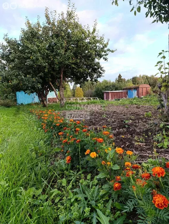 Участок в Медведевский район, Руэмское сельское поселение, СНТ Вишенка ... - Фото 1
