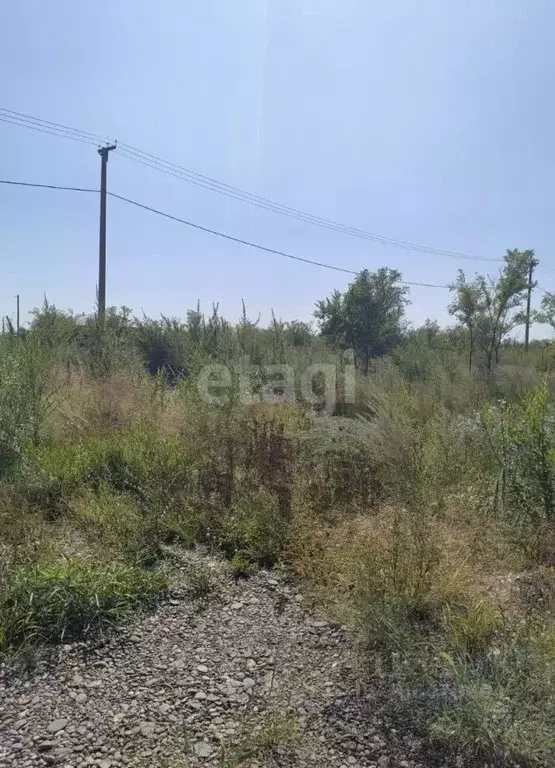 Участок в Хакасия, Алтайский район, д. Кайбалы ул. Свердловская (12.0 ... - Фото 1