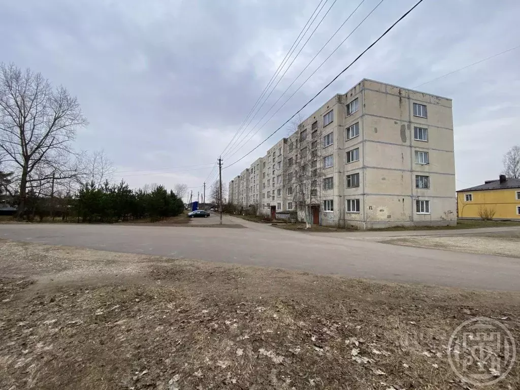 1-к кв. Ленинградская область, Волосовский район, Сабское с/пос, д. ... - Фото 1