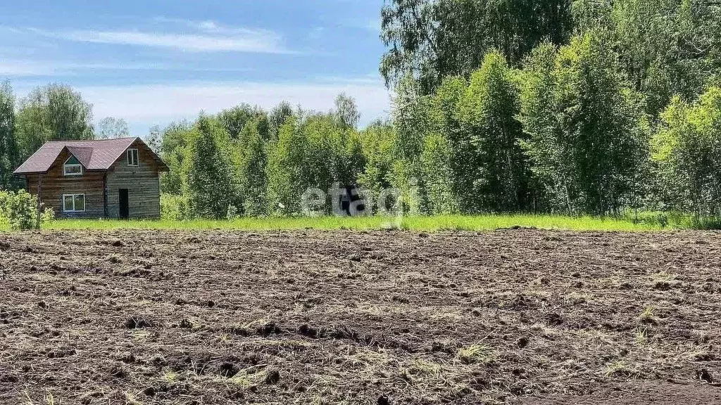 Участок в Новосибирская область, Искитимский район, Синегорье ДНТ ул. ... - Фото 0