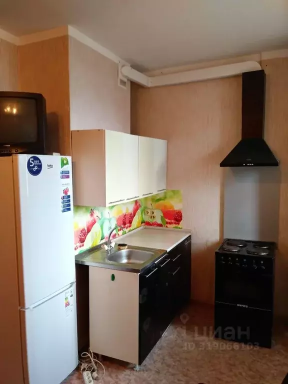 Студия Московская область, Королев ул. Марины Цветаевой, 1Б (28.0 м) - Фото 1